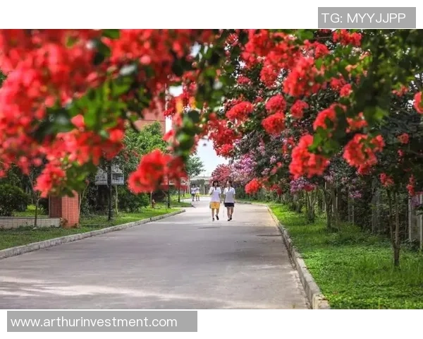 景菡一的成长之路与梦想追寻：在风雨中绽放的青春故事